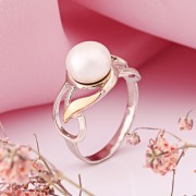 ������ ���������� ������ � ������� � �������� ������