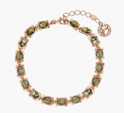 ������������ �������. ������ ������