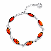 ���������� ������� "�������". ������