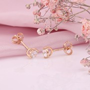 ������ �������� ������� ������ 585 ������ � ���������