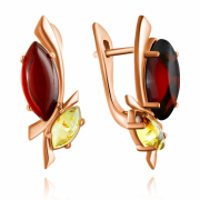 ������������ ������ "��������". ������