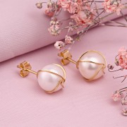 C����� ������ ������ Ƹ���� ������